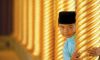 brunei