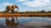botswana  Africa
