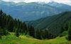 Ukraine shinitca
