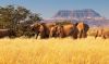 Namibia, Africa