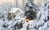 Ukraine Karpaty