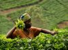 rwanda