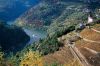 ���� (Douro)