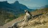 madagascar