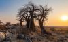 botswana  Africa