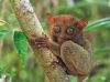 philippines ��������, ����� ��������� � ���� ���������, ��������� ������������ ��������