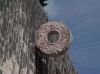 Chichén_Itzá_Goal