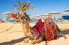 tunisia