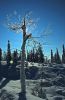 ������� / ���� (Kuusamo / Ruka)