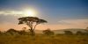 Tanzania