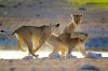 Namibia, Africa