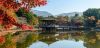 japan_nara