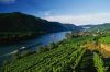 Luftner Cruises Wachau