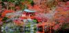 Kyoto