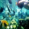 Pacific Islands Club Guam