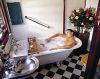 ROYAL SUITE