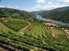 ���� (Douro)