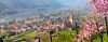 Luftner Cruises Wachau