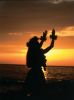 Hawaiian Islands Cruise