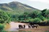 Hluhluwe Game Reserve