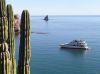 Mexico's Sea of Cortes