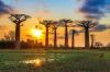 madagascar