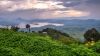 rwanda