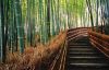 Japan-Kyoto