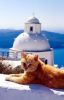   (Santorini)