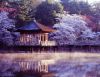 japan_nara