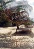 Chapwani Private Island