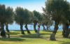 Grecotel Rhodos Royal