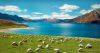New Zealand