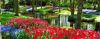 Luftner Cruises Holland_Keukenhof