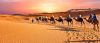 Arabian Desert