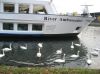 River Ambassador