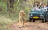 Ranthambore National Park