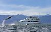 Mexico's Sea of Cortes