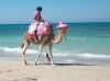 tunisia