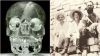 Crystal_Skull_Belize