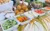 Windstar Cruises Wind Surf