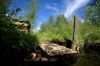 ������� / ���� (Kuusamo / Ruka)