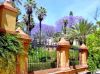 Garden-of-the-Royal-Alcazar