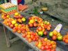 Pevas Market