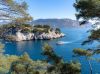 France Cassis