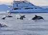 Mexico's Sea of Cortes