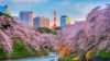 Tokyo japan