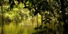 Iberostar Grand Amazon