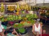 Brazil Market