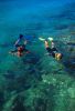 Mexico's Sea of Cortes